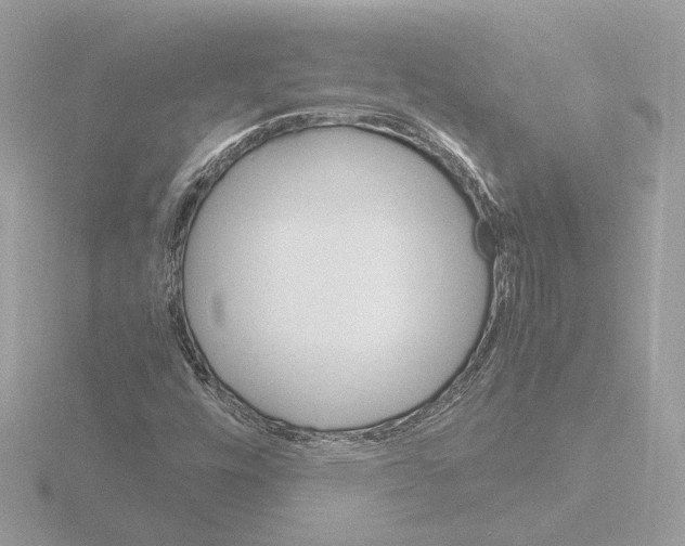 X0000115581448200912221039