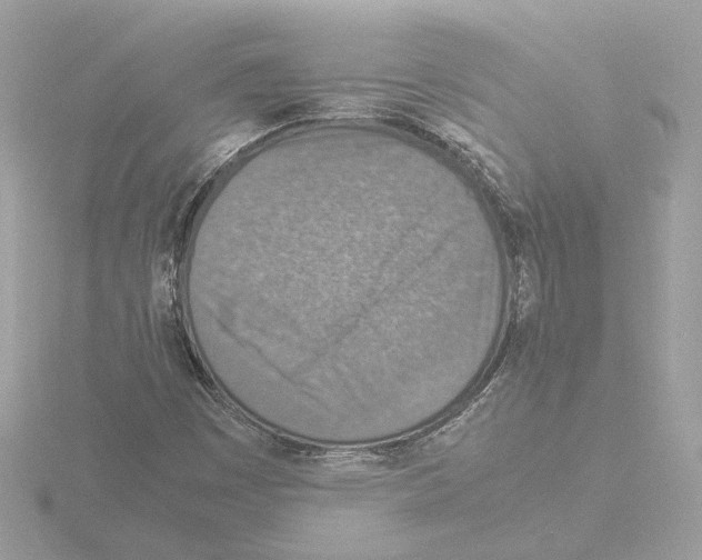 X0000115581449200912221039