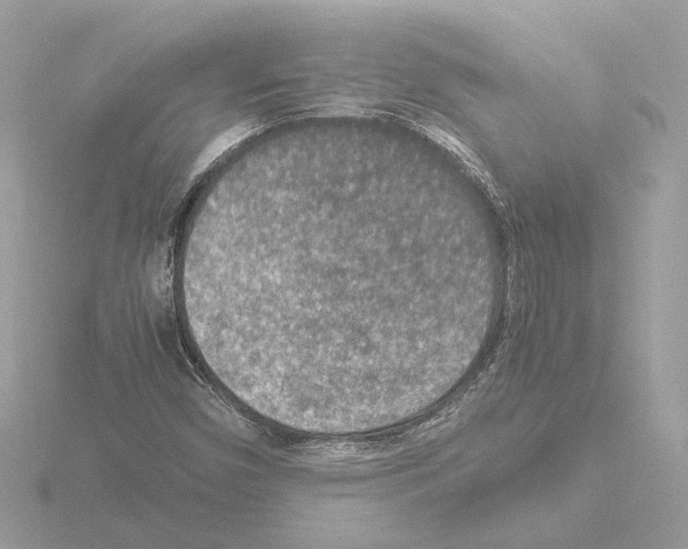 X0000115581450200912221039