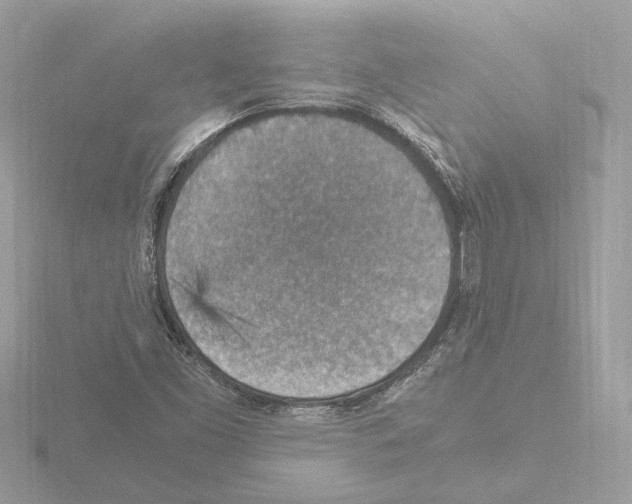 X0000115581453200912221039