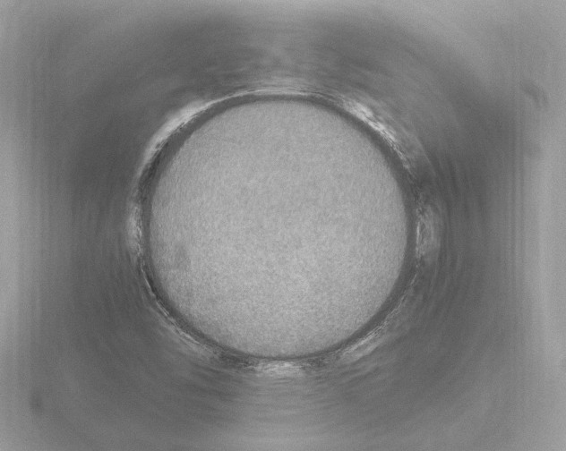 X0000115581454200912221039