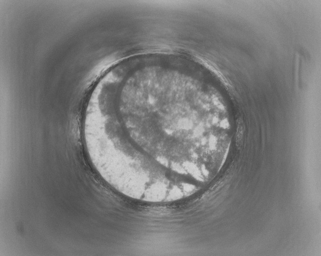 X0000115581455200912221039