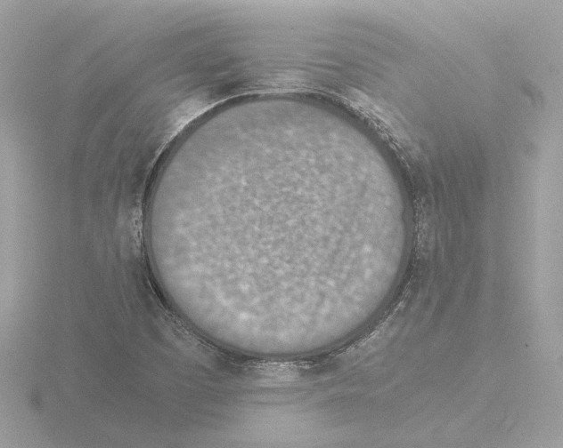 X0000115581457200912221039