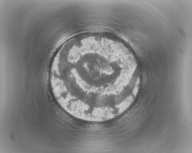 X0000115581459200912221039