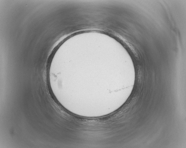 X0000115581460200912221039