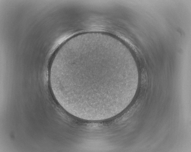 X0000115581461200912221039