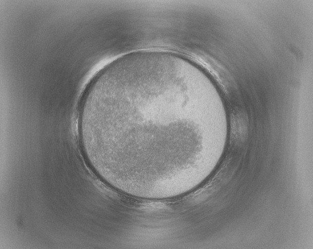 X0000115581462200912221039