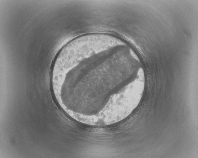 X0000115581463200912221039