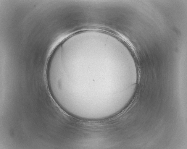 X0000115581464200912221039