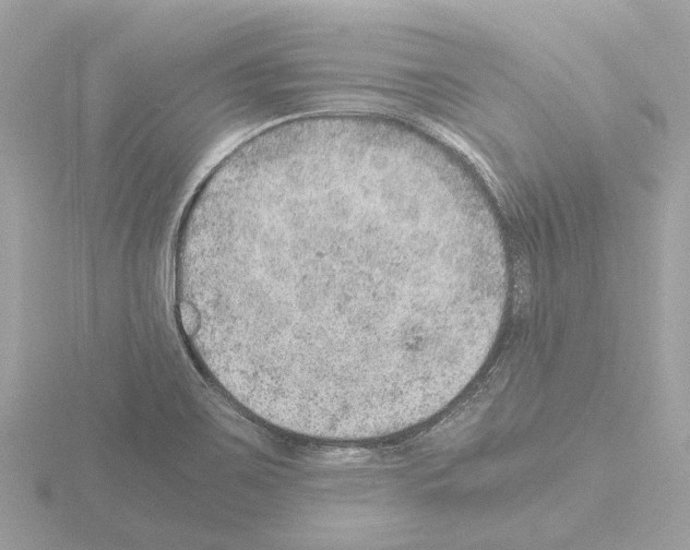 X0000115581467200912221039