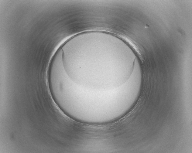 X0000115581468200912221039