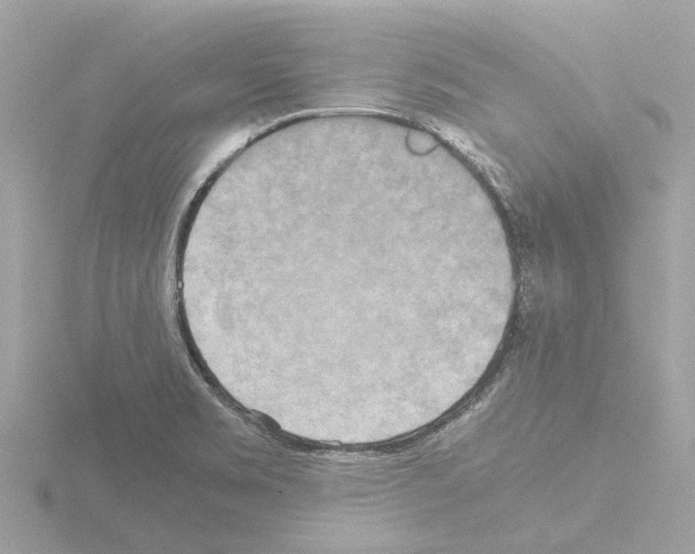 X0000115581469200912221039