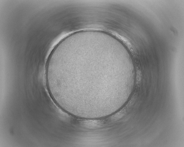 X0000115581470200912221039