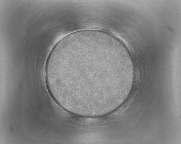 X0000115581471200912221039