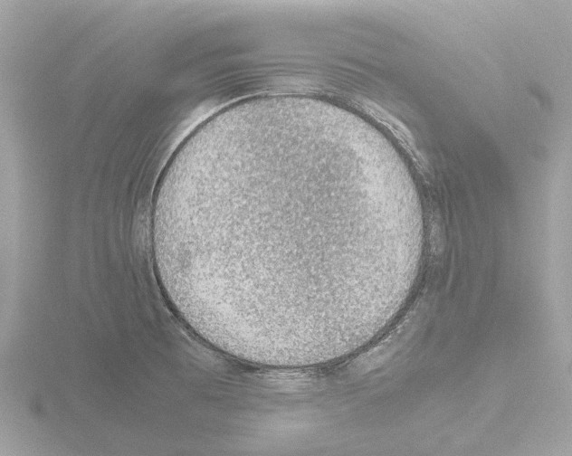 X0000115581473200912221039