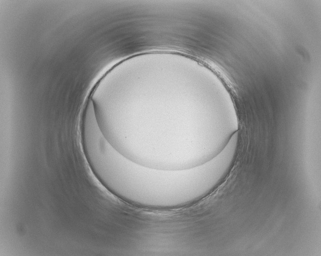 X0000115581476200912221039