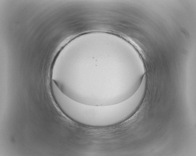 X0000115581477200912221039