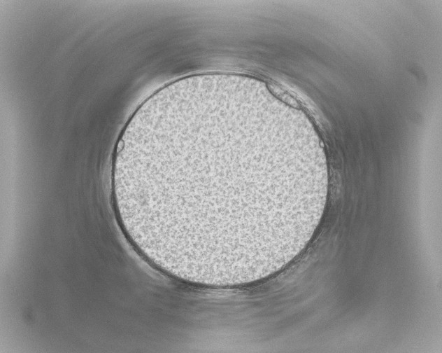 X0000115581479200912221039