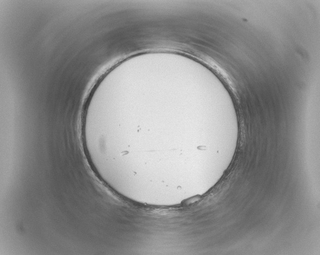 X0000115581480200912221039