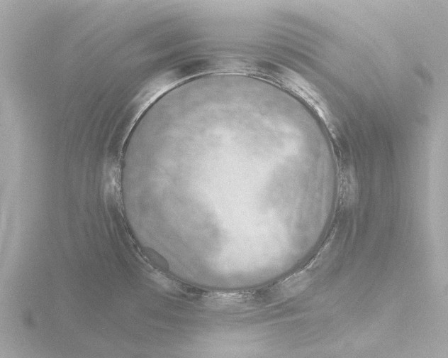 X0000115581481200912221039