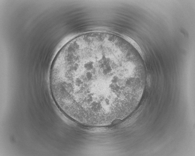 X0000115581482200912221039