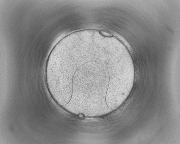 X0000115581483200912221039