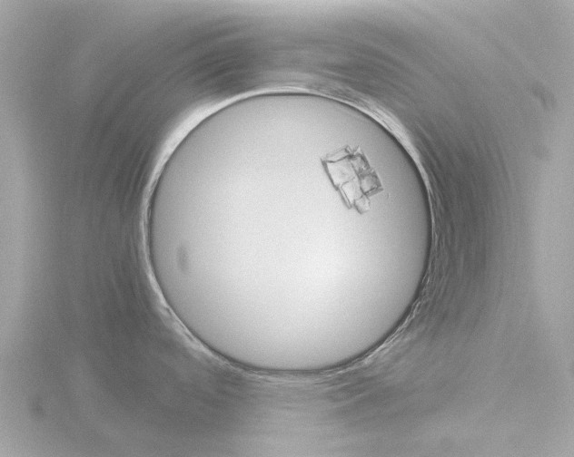 X0000115581488200912221039