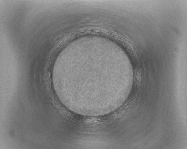 X0000115581489200912221038