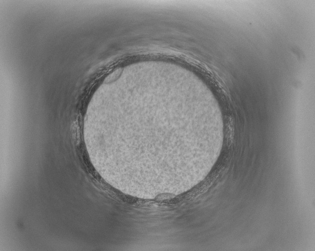 X0000115581493200912221038