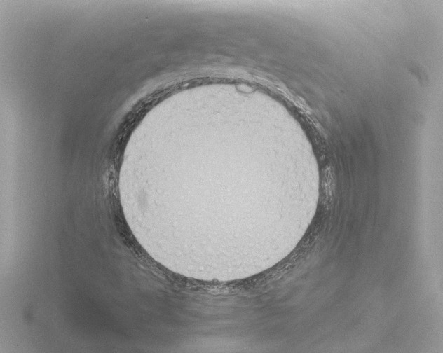 X0000115581495200912221038