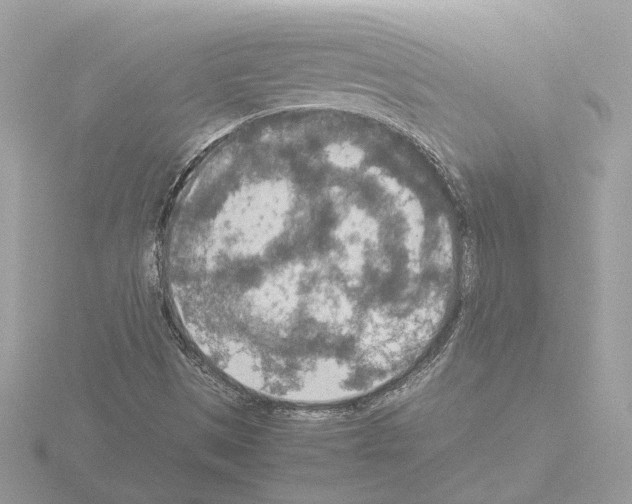 X0000115581497200912221038