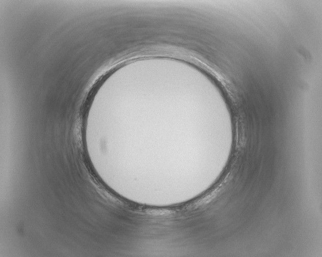 X0000115581498200912221038