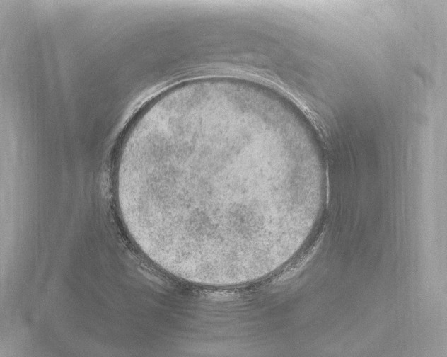 X0000115581501200912221039