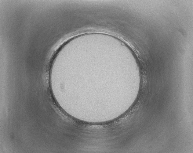 X0000115581503200912221039