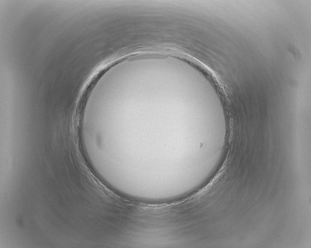 X0000115581506200912221039