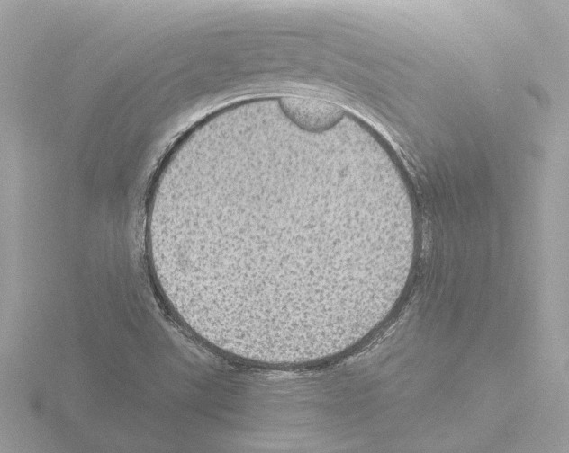 X0000115581507200912221039