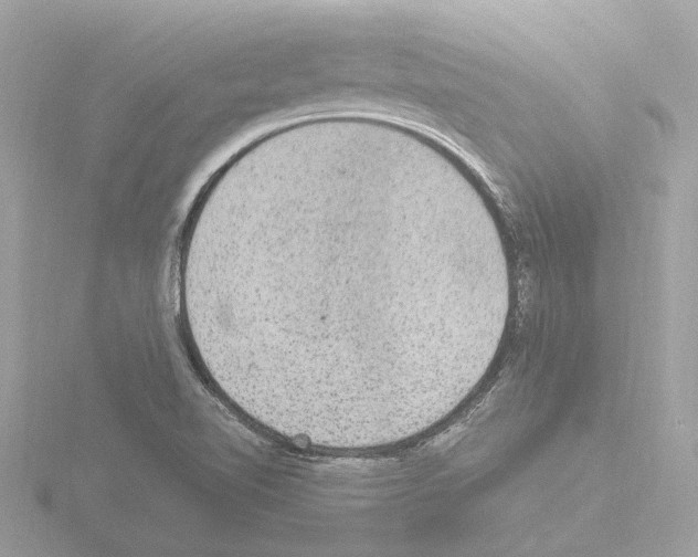 X0000115581510200912221039