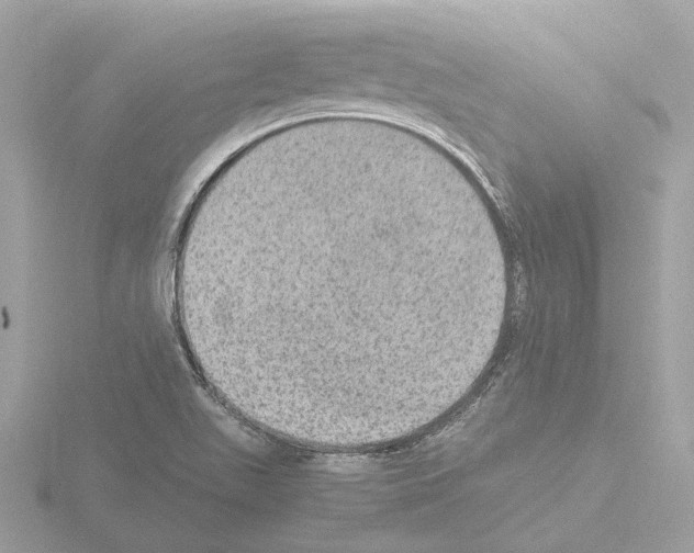 X0000115581511200912221039