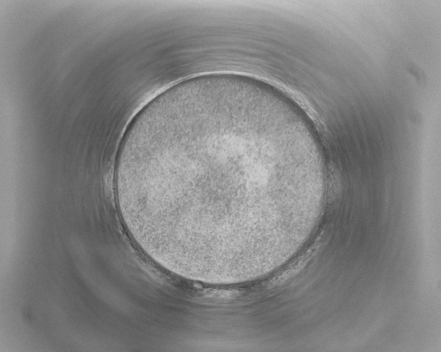 X0000115581513200912221039