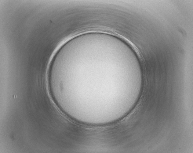 X0000115581514200912221039