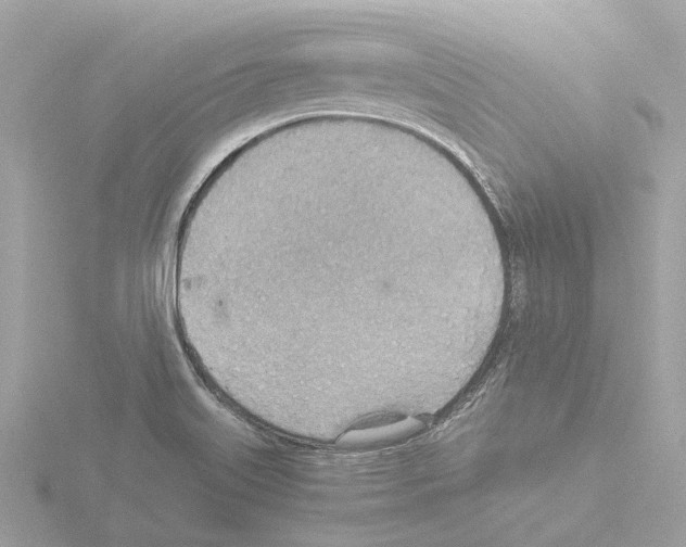 X0000115581515200912221039