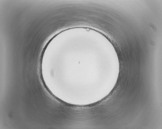 X0000115581518200912221039