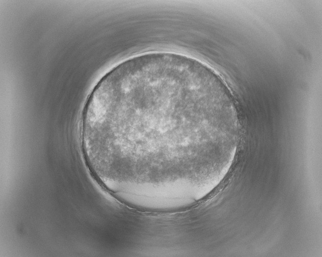 X0000115581519200912221039