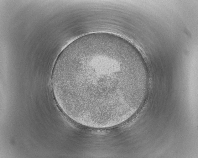 X0000115581521200912221039