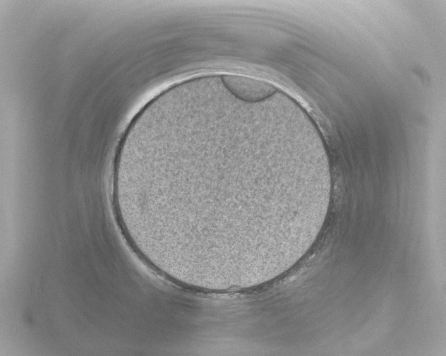 X0000115581523200912221039