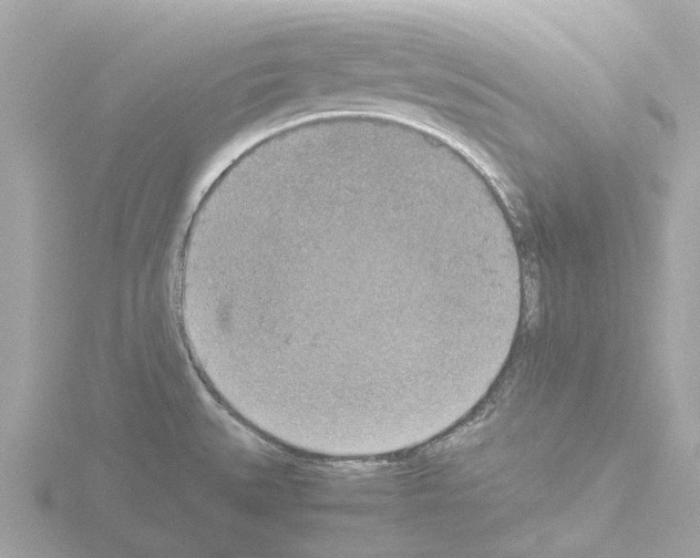 X0000115581527200912221039