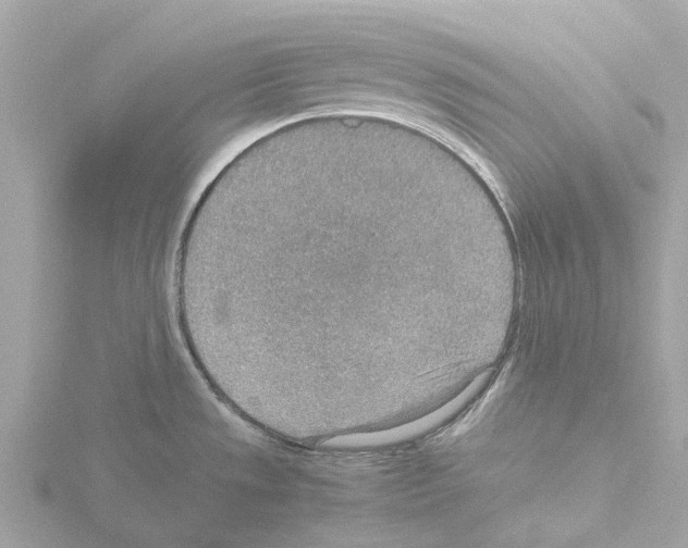 X0000115581533200912221039