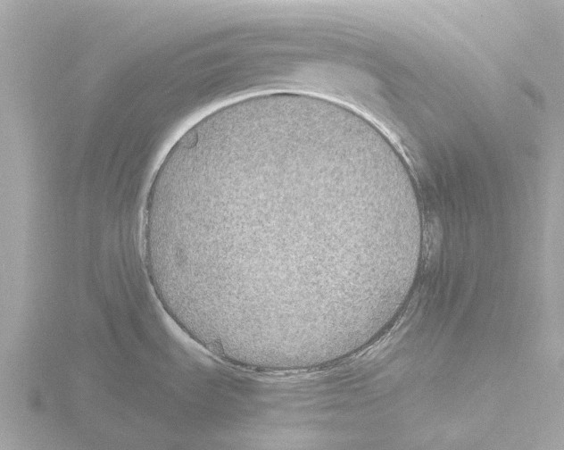 X0000115581535200912221039