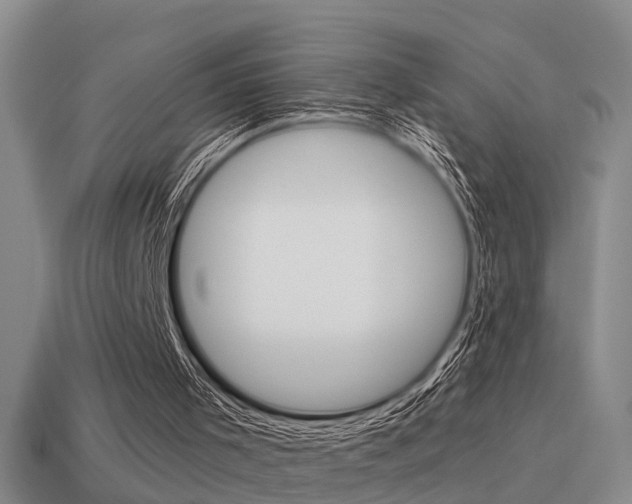 X0000115590001200911100941