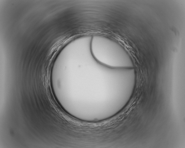 X0000115590002200911100941